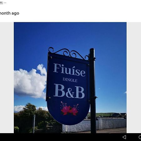 Fiuise B&B Dingle Eksteriør billede