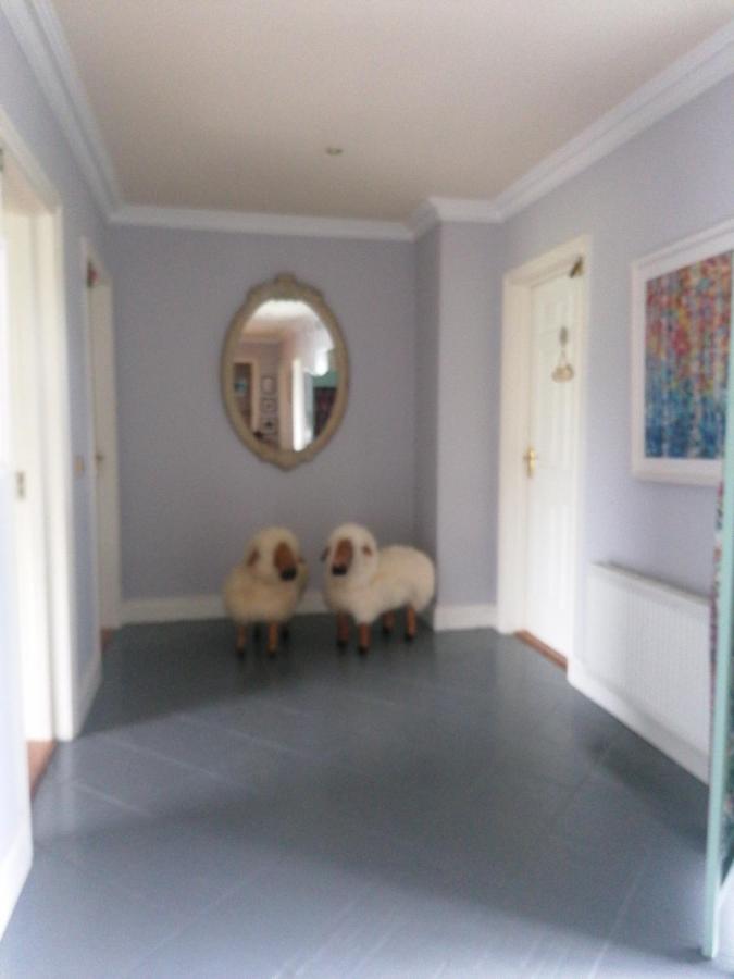 Fiuise B&B Dingle Eksteriør billede