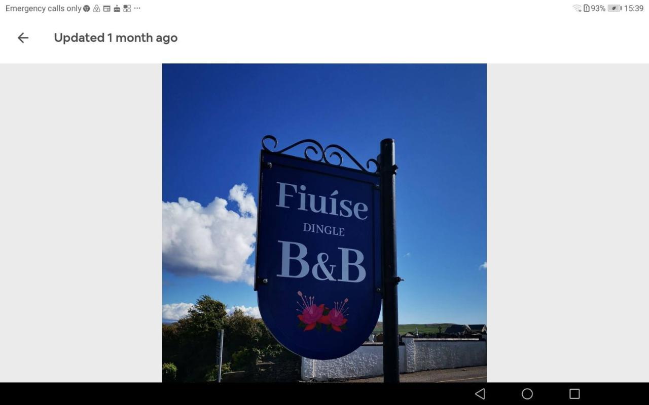 Fiuise B&B Dingle Eksteriør billede